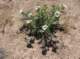 imgp0865_small.jpg