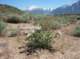 imgp0867_small.jpg