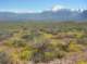 imgp0875_small.jpg