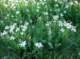 imgp0884_small.jpg
