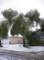 imgp0481_small.jpg