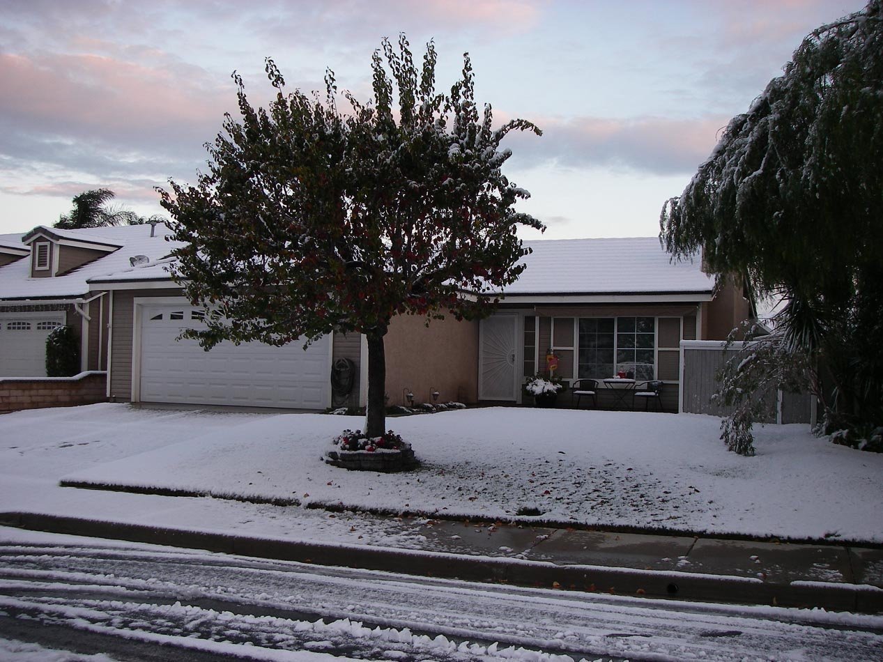 imgp0486.jpg