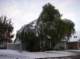 imgp0491_small.jpg