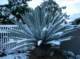 imgp0493_small.jpg