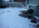 My backyard after a night of snowfall 12/31/2014 