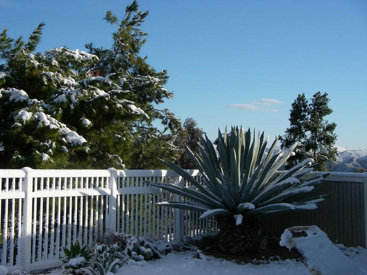 imgp0501.jpg