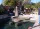 imgp0016_small.jpg