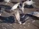 imgp0411_small.jpg