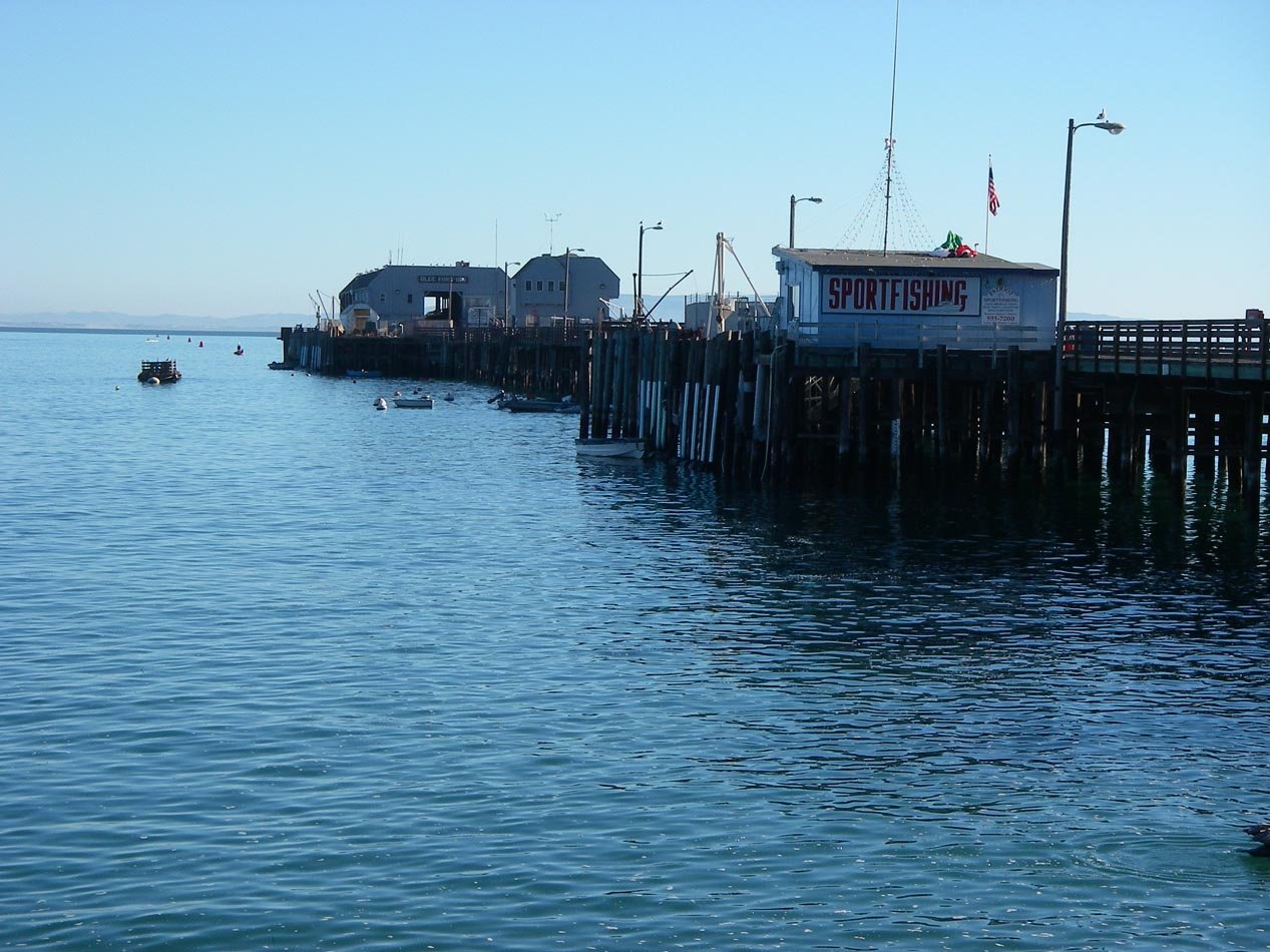 imgp0414.jpg