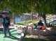 imgp0449_small.jpg