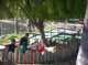 imgp0450_small.jpg