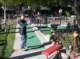 imgp0451_small.jpg