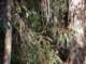 imgp0282_small.jpg