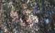 imgp0283_small.jpg