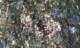 imgp0284_small.jpg