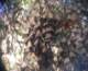 imgp0285_small.jpg