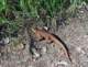 imgp2108_small.jpg