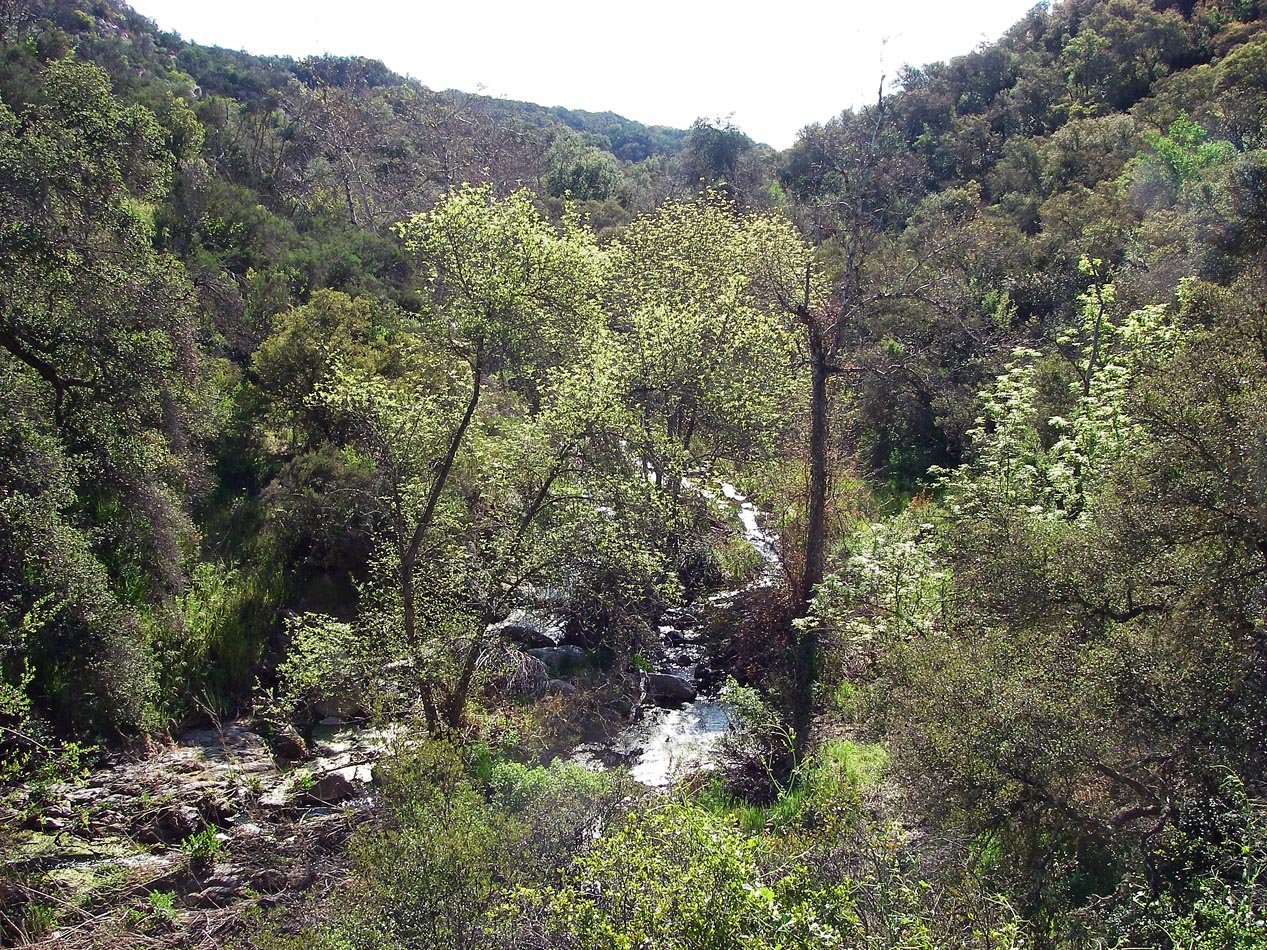 imgp2111.jpg