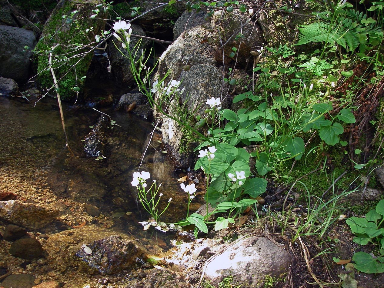 imgp2113.jpg