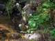 imgp2113_small.jpg
