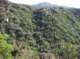 imgp2118_small.jpg