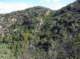 imgp2119_small.jpg