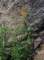 imgp2122_small.jpg