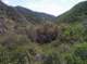 imgp2132_small.jpg