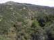 imgp2136_small.jpg
