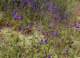 imgp2137_small.jpg