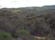 imgp2138_small.jpg