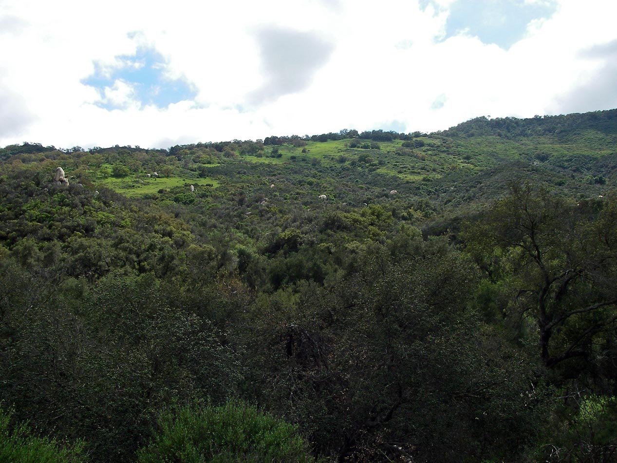 imgp2139.jpg