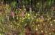 imgp2142_small.jpg