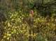 imgp2143_small.jpg