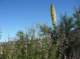 imgp2144_small.jpg