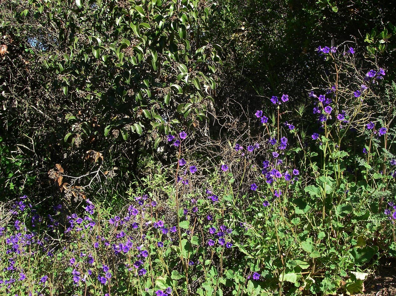 imgp2145.jpg