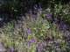 imgp2148_small.jpg