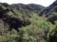 imgp2149_small.jpg
