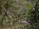 imgp2150_small.jpg