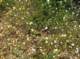 imgp2151_small.jpg