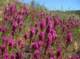 imgp2155_small.jpg
