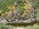 imgp2156_small.jpg