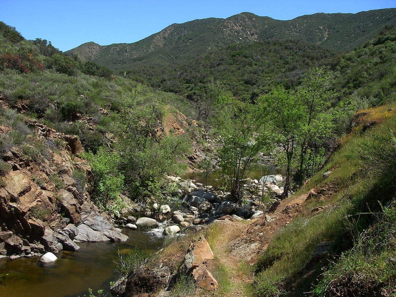 Hiked to San Mateo Creek via Tenaja Canyon 4/13/2019
