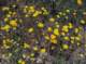 imgp2159_small.jpg
