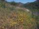 imgp2162_small.jpg