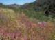 imgp2163_small.jpg