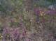 imgp2164_small.jpg
