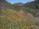 imgp2169_small.jpg