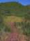 imgp2170_small.jpg