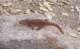 imgp2176_small.jpg